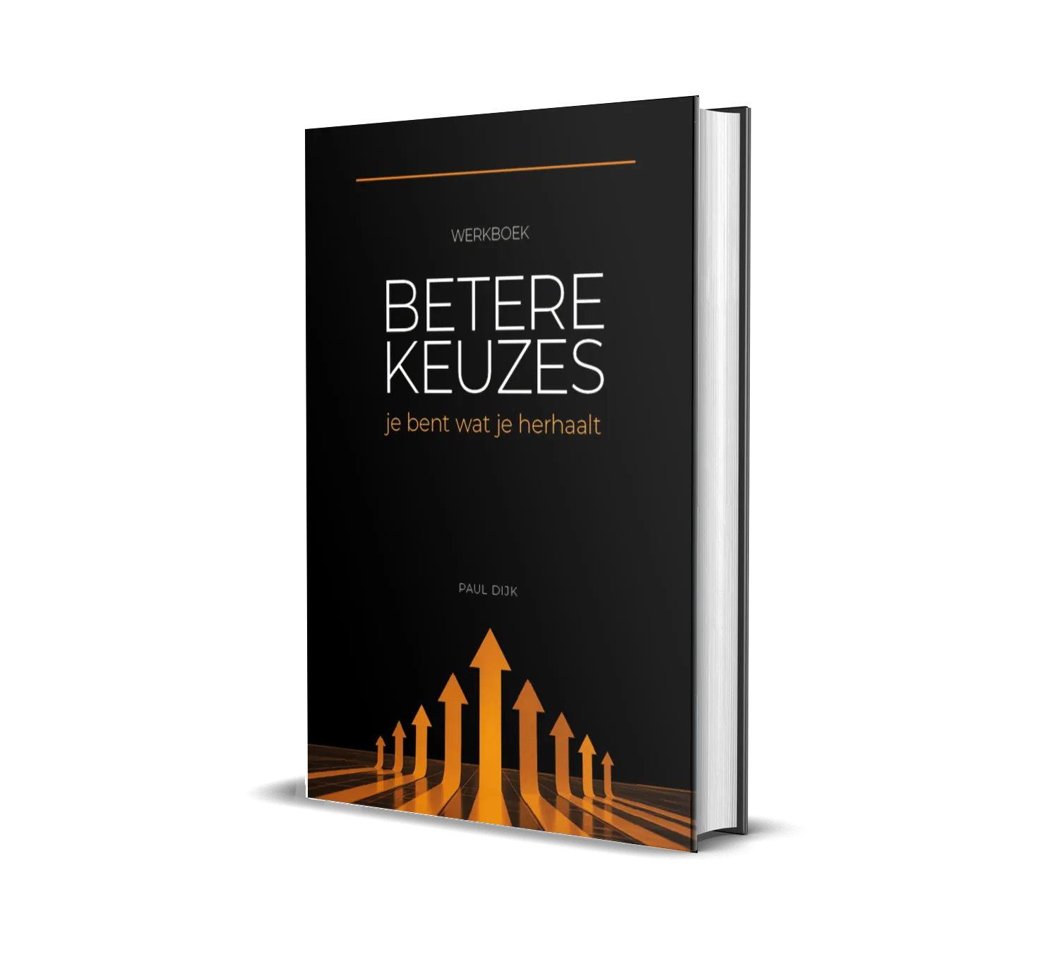 Betere Keuzes — werkboek van Paul Dijk, 3D-weergave